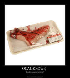 01a15bab-78ce-4547-ac91-9270057b6734