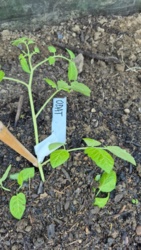 a67a5d7b-a339-4f39-bfa3-3263622fa474