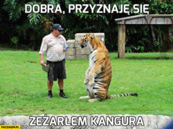 ee4333df-c816-46b8-b3fb-13c79527c1db