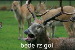 cbcc8ab2-9139-4e1b-bc74-26c1535559d2