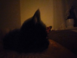 ca36e7bd-d9cf-4f41-9bc4-ba80a5ce225d