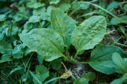 a5a589d2-9cac-40ac-b695-852e0bff7e31