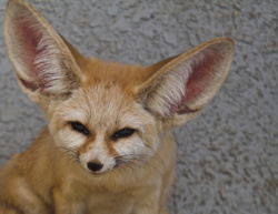 9562253e-4e30-4d16-85d1-8ad5d849e80c