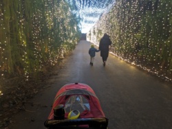 8c89e56a-72c5-4d19-92cd-8d87a84d2967