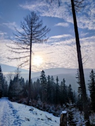 00e04ff5-ff3c-4d6a-9627-bed962466368