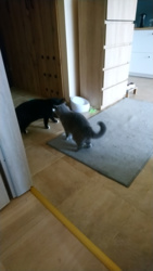 dbffa7e9-cede-498a-bff7-a29d9c2ac718