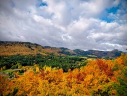 d7f87180-5d28-411a-b356-d0a74dcc743e