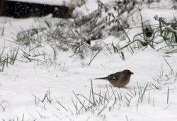 e8104138-9788-41ec-b780-fa2a294b1514