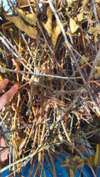 8130dbf3-978e-49d0-8c27-5b9675364864