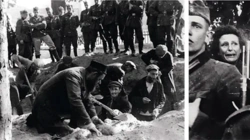 b31c0ca5-0725-44bd-be47-ea5403d5c0fb