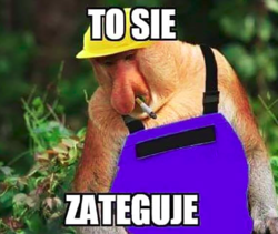 1c328881-2829-4dd2-a6e3-c5a80c0b582f