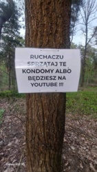 8053828a-634b-40e8-a70c-a8a58a028a2c