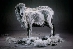 39d1b5af-ecfc-4b03-84a5-7bdad1ee3cc4