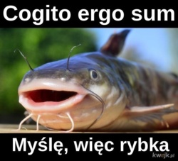 3c41b189-6465-4b08-a875-af16ad1d8cb9