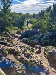 e14e2d6b-cdc6-4077-a400-241a98a690a7