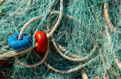 35302554-5285-4a8c-9fd2-95fa24658cdb