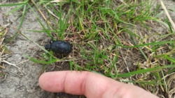 a237bfd7-0182-43f8-afba-c491245df865