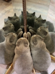 21322207-3e40-4401-8d3b-905b830b31ed