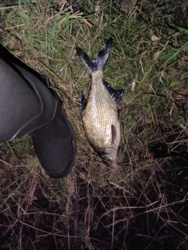 59c11432-5e65-4a54-a253-f12805b6b580