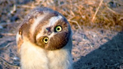 cce210f5-5717-45a9-9e4c-11a1ce21b567