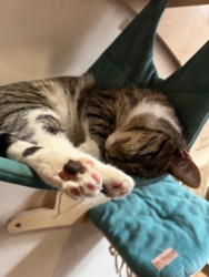 01a8f7c6-a092-4221-b624-887c6059bcb2