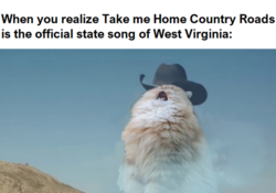 b3da0e1d-34b2-4f86-b724-2e46b643e115