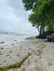 40c8e9b3-a06f-4b36-8cce-bcfcc5339b5c