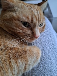 4a44b8ed-c7d9-48ae-9461-1f59c257865f