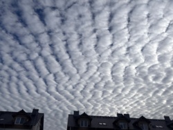 211b7c2b-6d94-443c-8862-766352d5e367