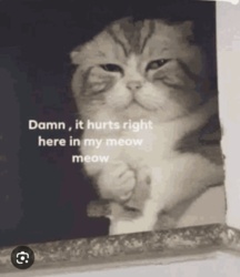 d9a4c079-20b6-4f4f-9632-d79a51b9656d