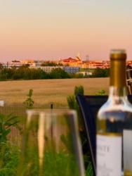 5959dddd-fcbc-424c-8c54-39c5465adf12