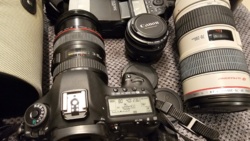 75fb5288-e19d-4e15-808e-4127e29d7680