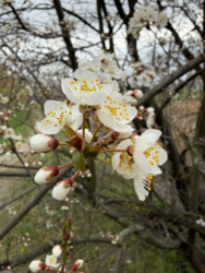 92c05388-1936-4c30-a84b-74bd4432722a