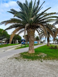 05ffe292-0c8c-4d2a-a68f-8576c35cd86c