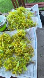 543a4779-30fe-4558-b3c8-e04525f384b3