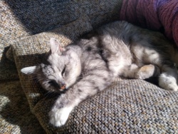 ba64aa2f-1b28-44a3-930d-9fe95f06c468