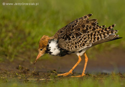 fe302724-a6bc-4090-ab2e-ff7c1970633c