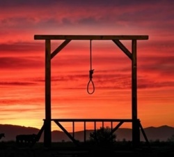 226142cb-ae9d-4ed8-9d0d-e10ace44f802