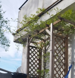 1d00b140-8662-459c-8586-2ebd16f3b6a9