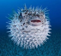 7756255e-0d0d-468f-a756-0a558f1009ed