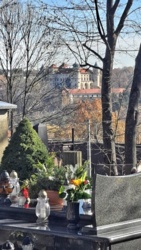 0d14c47e-a6ab-4f16-beea-2d0df465755d