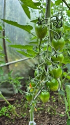 eedb465d-0063-4c11-b240-e7147859fad2