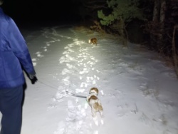 bc7f53e9-4e5d-44d3-a563-5bc8039492d1