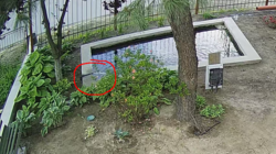 ae3f0ece-8a63-4756-a7ab-28ac2c72de97