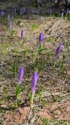 83e8c6f9-5e81-408a-b090-7bf2e6a001fd