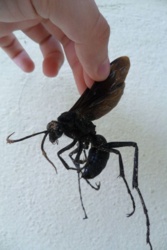 680796c8-aacf-44ba-9f18-4e383248e323