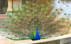 eca7080d-a806-4237-83e5-0ad181f314c2