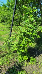 b30848fe-1663-4284-8d7c-80fecf2a0bd6