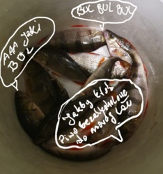 b555a83a-3815-4405-b5a1-459605189f22