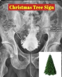 d47ce6b8-68f8-4251-a074-d15f71ad5379